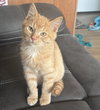Butternut - Photo 2