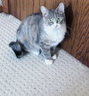 Allison - Photo 5