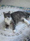 Allison - Photo 14