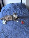 Allison - Photo 15