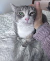 Allison - Photo 3