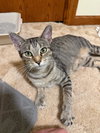Jasmine - Photo 2
