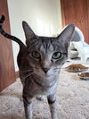 Jasmine - Photo 7