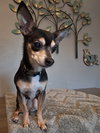 Carlo - Photo 1