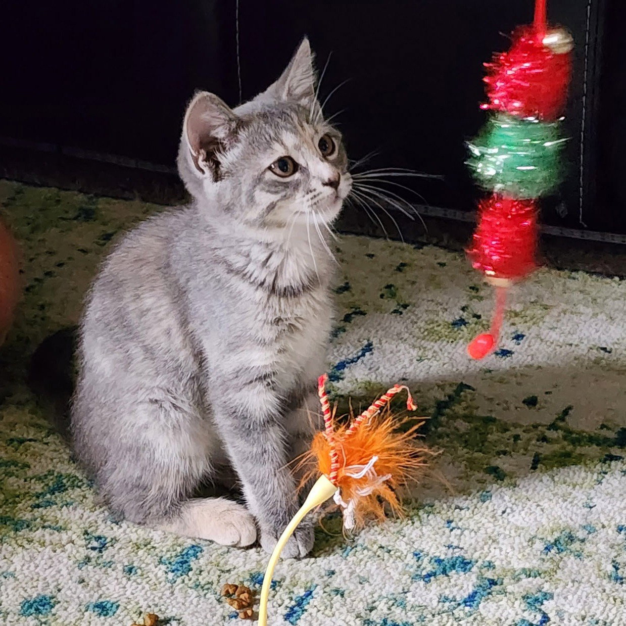 Gia