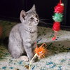 Gia - Photo 5