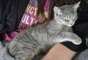 Gia - Photo 2