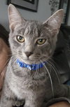 Grover - Photo 1