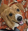 Brooks - Photo 7