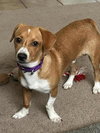 Brooks - Photo 8