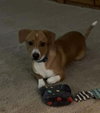 Brooks - Photo 9