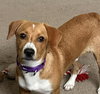 Brooks - Photo 10