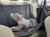 Travis - Photo 3