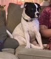 Dottie - Photo 7