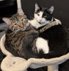 Destiny - Photo 5