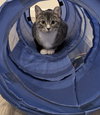 Karma - Photo 5