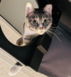 Karma - Photo 3