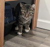 Lucky Louie - Photo 6