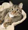 Lucky Louie - Photo 1