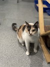 Masala - Photo 7