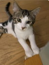 Jim - Photo 1
