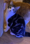 Jim - Photo 3