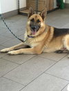 Alan - Photo 2