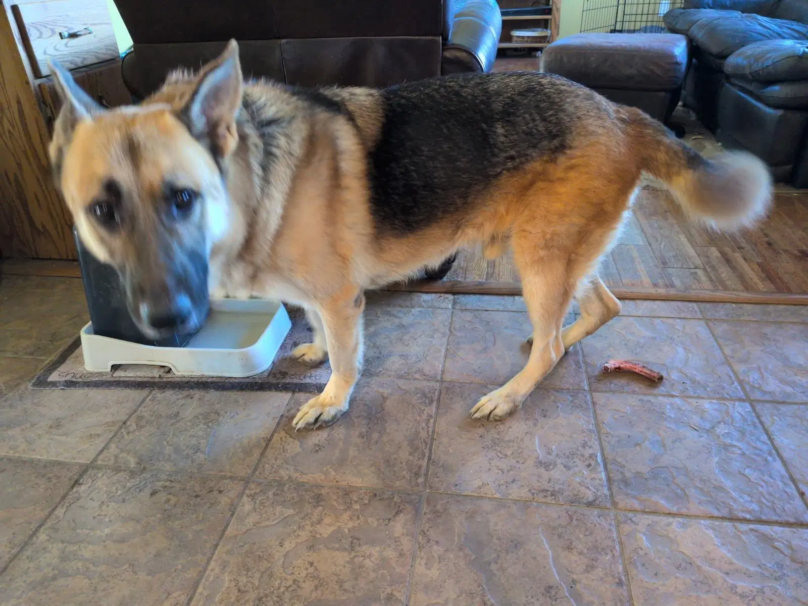 Alan image 3