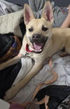 Gravy - Photo 5
