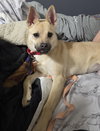 Gravy - Photo 1