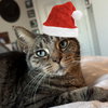 Donna - Photo 4