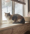 MissGray - Photo 9