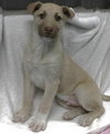 Parker - Photo 2