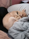 Parker - Photo 7