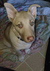 Parker - Photo 1