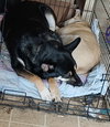 Parker - Photo 5