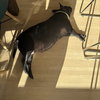 Torta - Photo 5