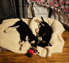 Six - Photo 15