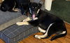 Six - Photo 6