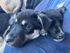 Six - Photo 8