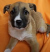 Fumie - Photo 12