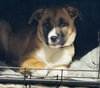 Fumie - Photo 15