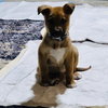 Fumie - Photo 16