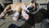 Fumie - Photo 17