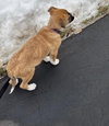 Fumie - Photo 18
