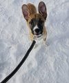 Fumie - Photo 9