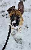 Fumie - Photo 10