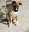 Fumie - Photo 11