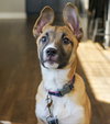 Fumie - Photo 1