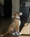 Fumie - Photo 6